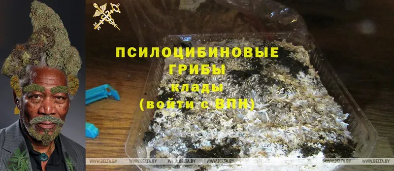 Галлюциногенные грибы Magic Shrooms  Нерехта 